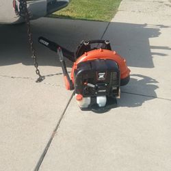 Echo Blower 