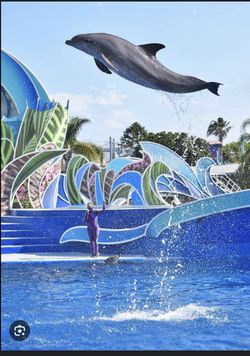 Seaworld San Diego 