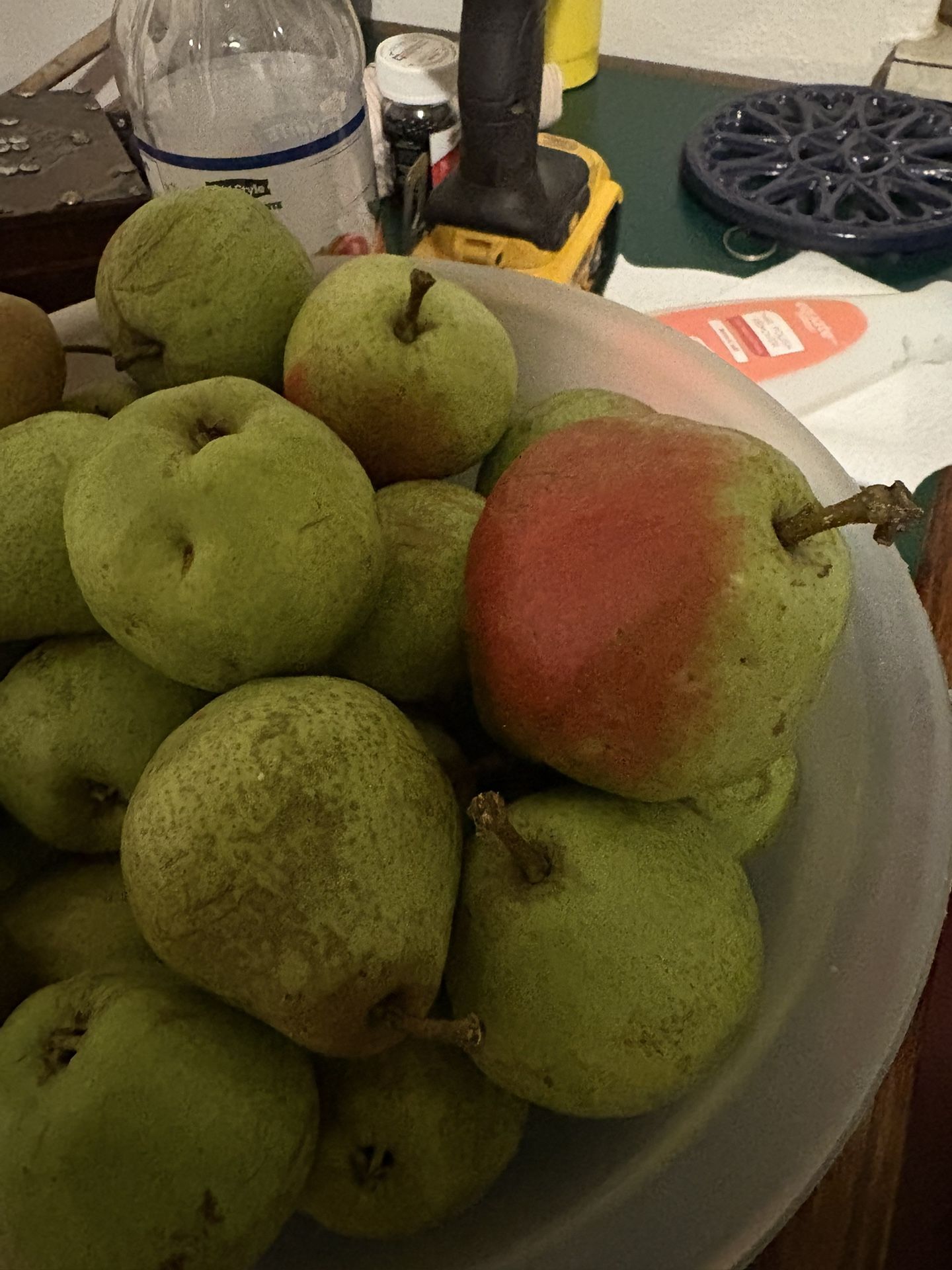 🍐 Fresh Homegrown Pears – Straight From the Tree! 🍐  