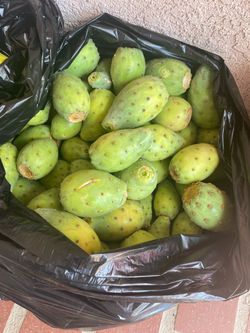 Tunas y nopales