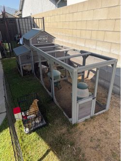 Chicken Coop