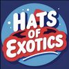 Hats Of Exotics