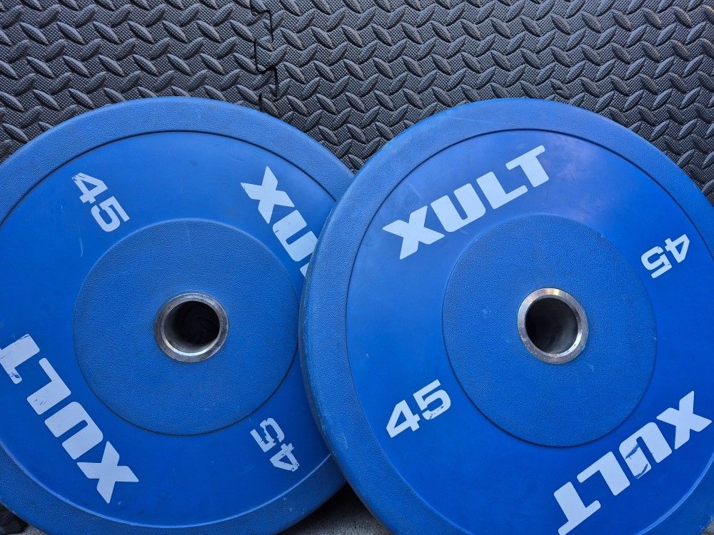 45lbs Bumper Weights