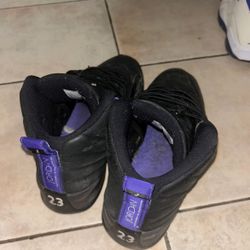 Jordan 12 Mens Size 9.5 Shoes