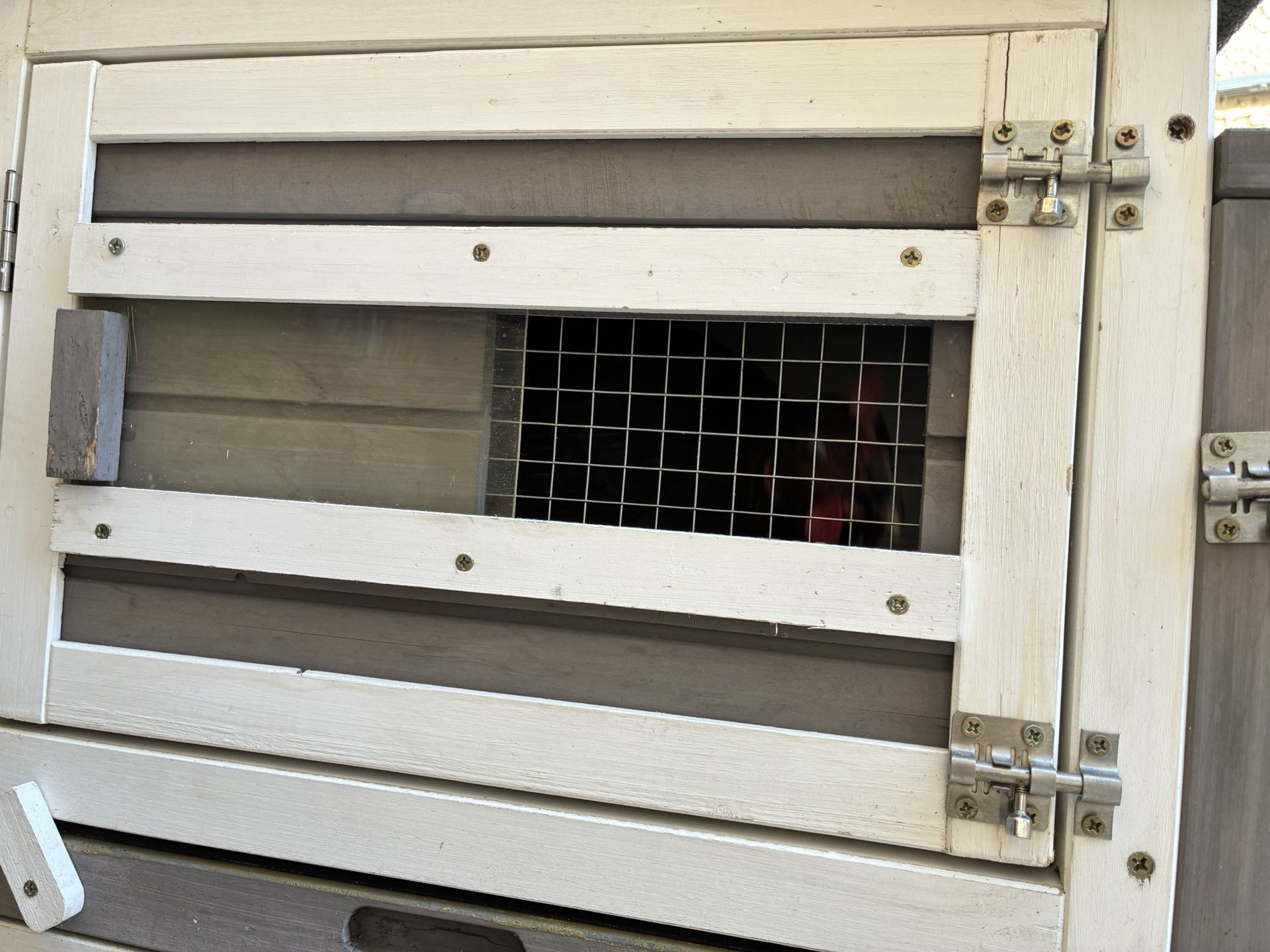 Darkling Beetle Farm 150