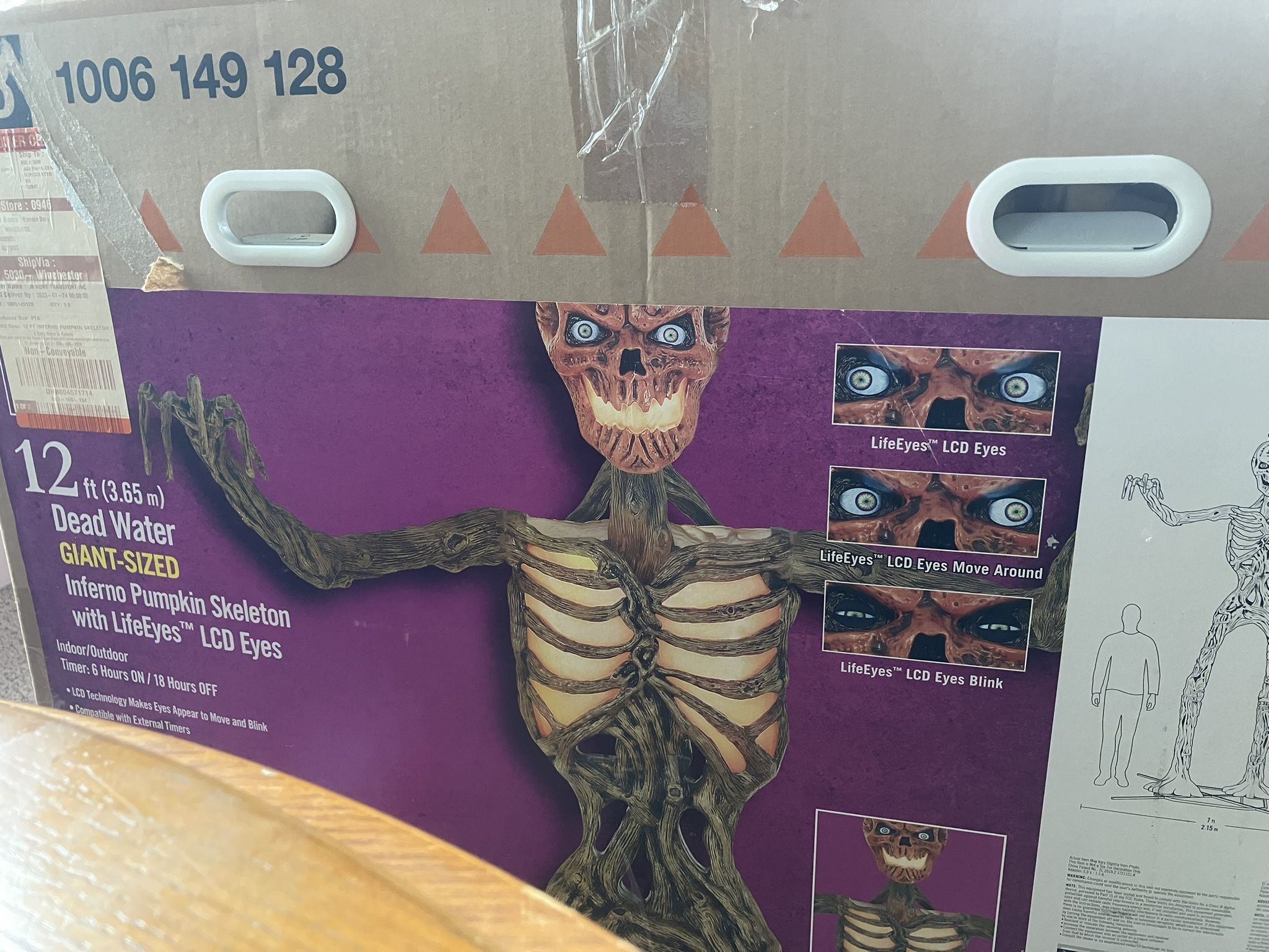 GIANT PUMPKIN SKELETON 
