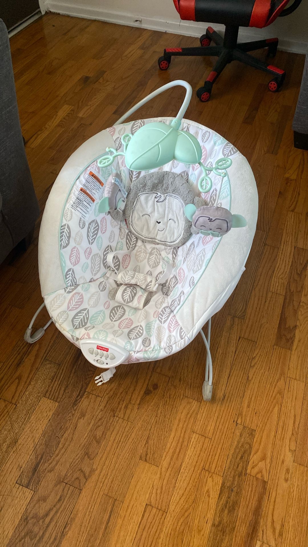 Fisher Price Bouncer