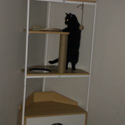 Wooden cat tree