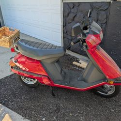 Honda Elite 
