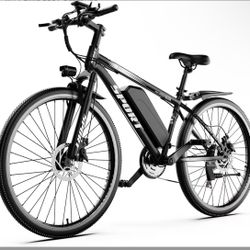 Electric Bike