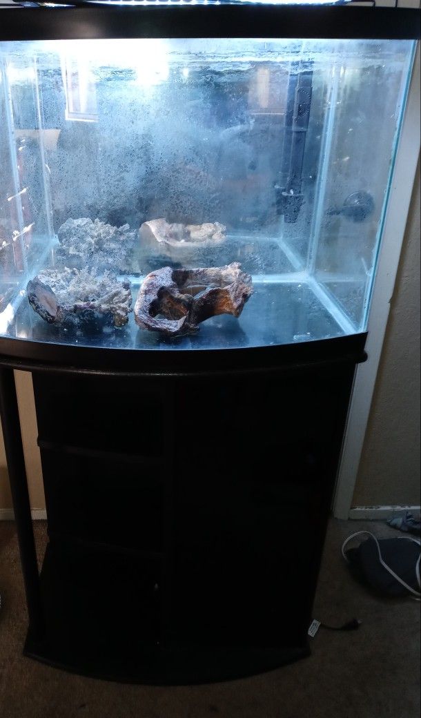 35 Gallon Bow Front Aquarium And Stand