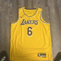 LeBron James Lakers Jersey Icon Edition 