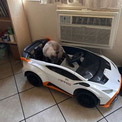 Lamborghini Good Condition 