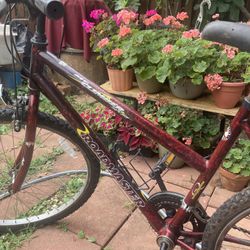 Bicycle   Size 26  Normal 