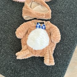 Easter Bunny, Dog Costume