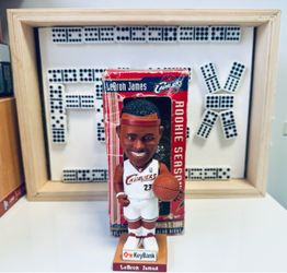 🏀 LeBron James ~ Bobble head ~ Rookie ~ March 3, 2004