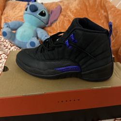Dark Concord -Jordan Retro 12 Size 7.5 M