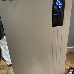 RinKmo Heavy Duty Dehumidifier 