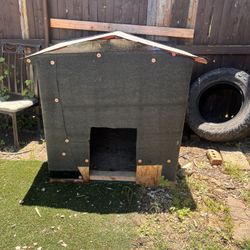 Large dog House 