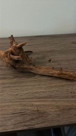 Natural Driftwood Branch Decor