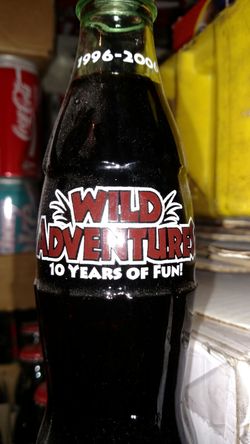 Wild Adventure amusement park ten years in Valdosta 2006