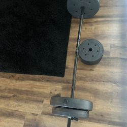 Barbell W/Weights 