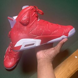 Jordan Retro 6s Slam Dunk