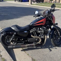 2009 Harley Davidson Iron 883
