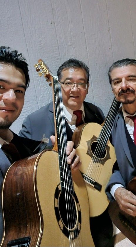 Guitarra-Bajo-Requinto TRIO VERSATIL