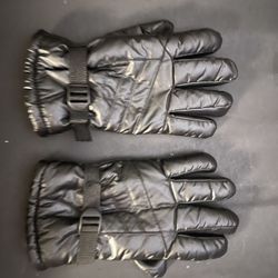 Winter Proof Cold Weather Gloves