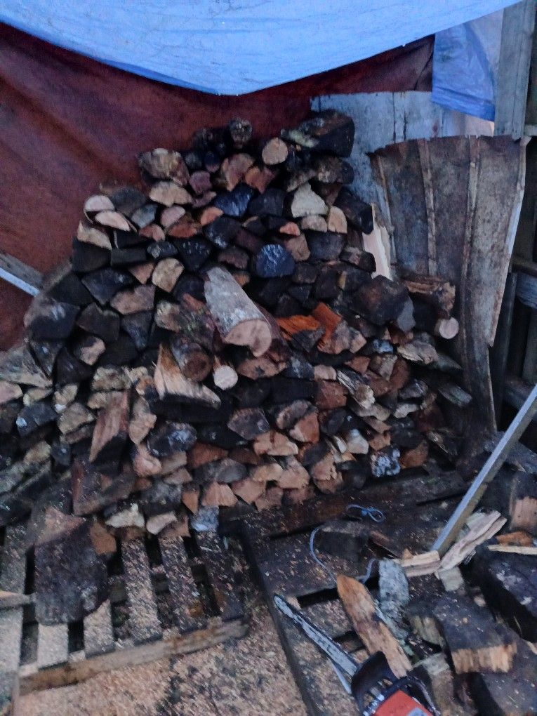 Seasoned Dry Firewood