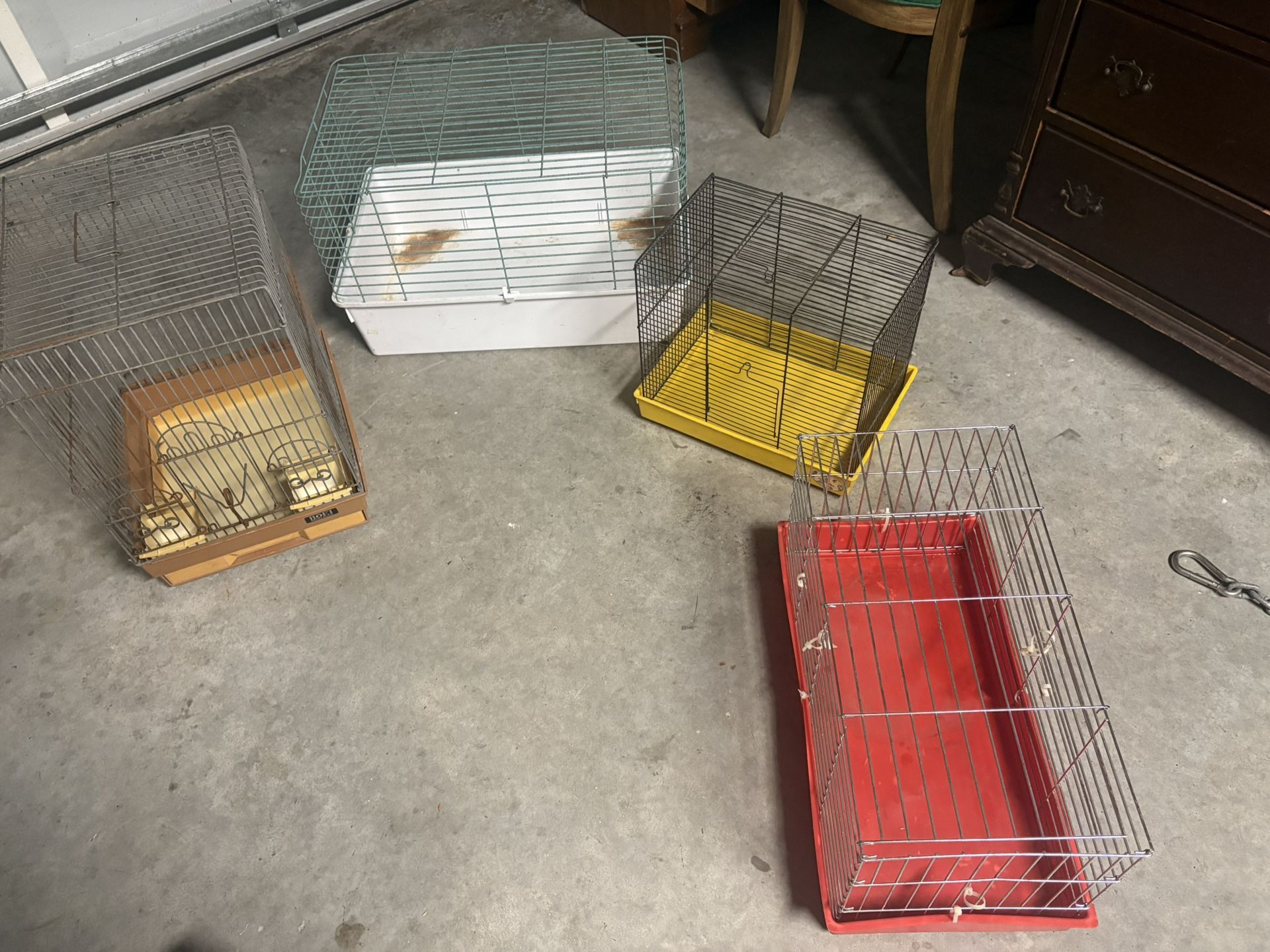 Bird And Small Pet Cages