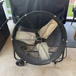 Utility Fan 