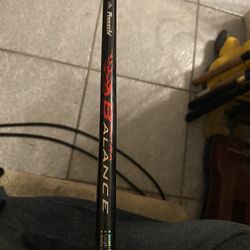 Fishing Rod