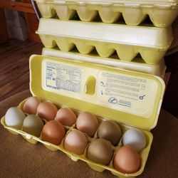 Large Fresh Home  Chikin Eggs. $4 For12 Eggs .