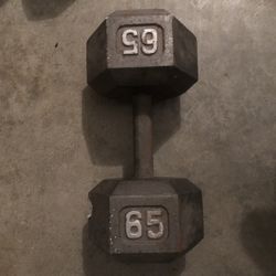Steel Single 65 Lb Dumbbell 