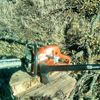 Slingin Woods