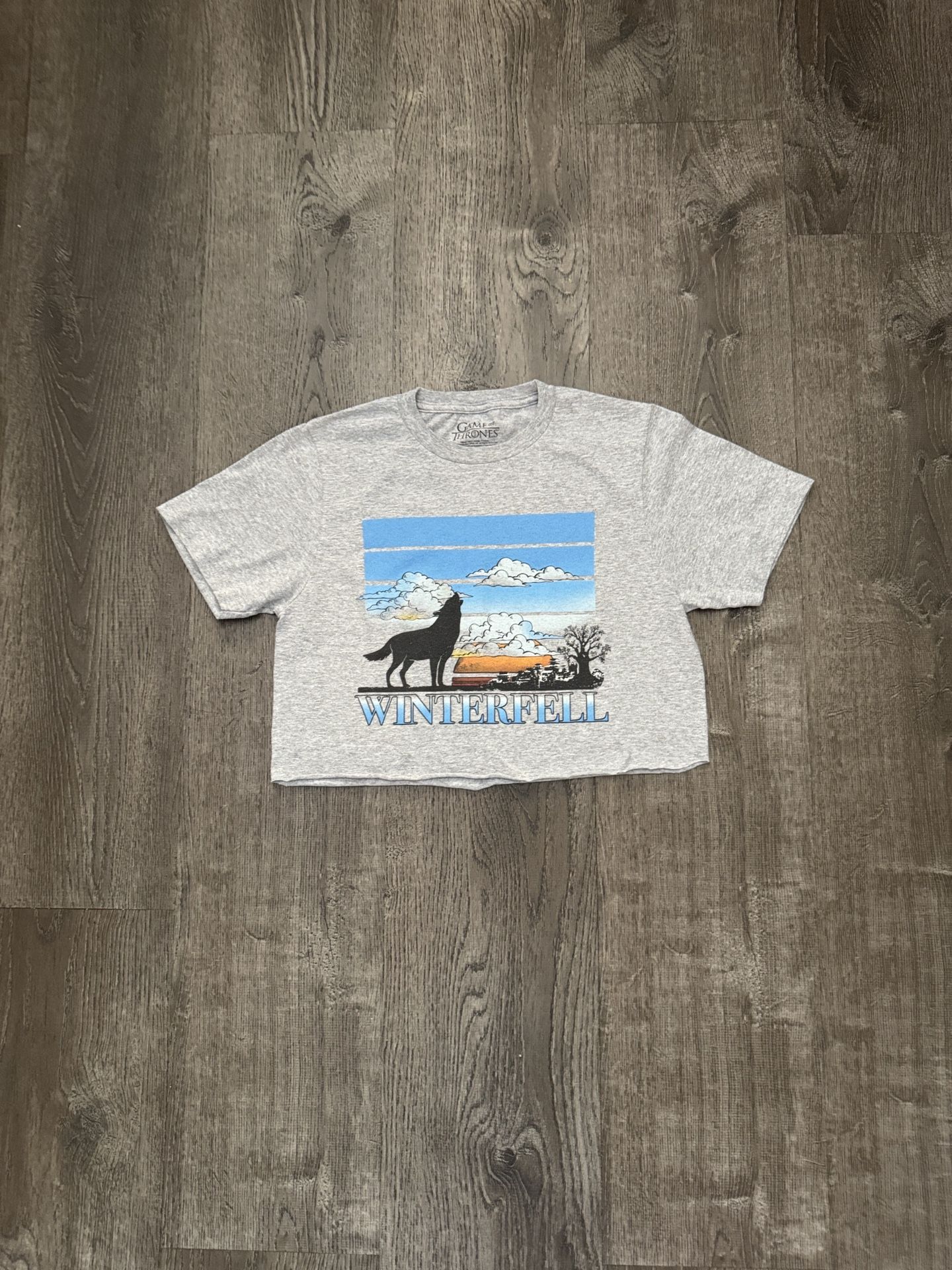 Game Of Thrones Crop T-Shirt