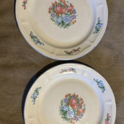Set Of 2 Spring Meadow serving plate platter 12"  microwave dishwasher safe