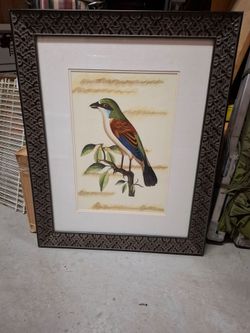 Framed Botanical Bird Print Wall Art
