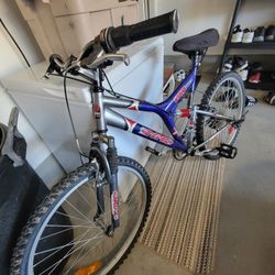 Mountain Bike