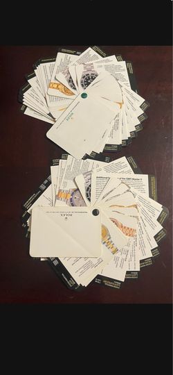 Set Of 2 Genuine Rolex DEALER Product Information Cards