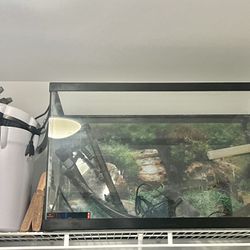 Fish Tank, Decor & Stand