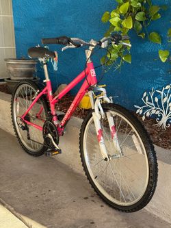 26” Diamondback Mountain Bike