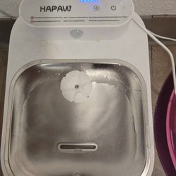 Cat water fountain