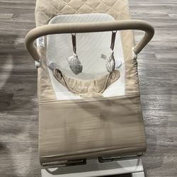 Baby Delight Bouncer 