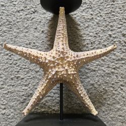 Starfish candle holder 