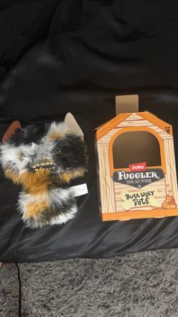 Fuggler calico cat