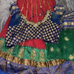 Elegant Lengha choli 