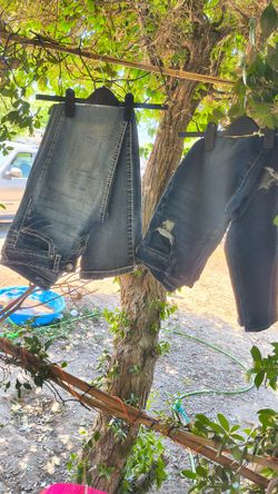 Jeans women's